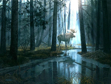 Caught By Light Jigsaw Puzzle 1 Caught By Light Jigsaw Puzzle