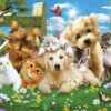 Pups N Kittens Jigsaw Puzzle