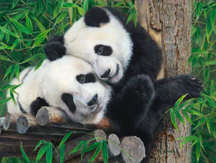 Bamboo Buddies Jigsaw Puzzle 1 Bamboo Buddies Jigsaw Puzzle