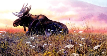Daybreak Moose Jigsaw Puzzle 1 Daybreak Moose Jigsaw Puzzle