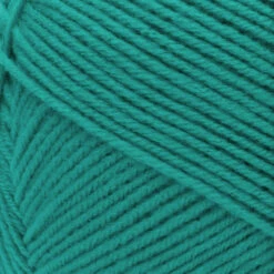 Red Heart Comfort Yarn -Clover Store Jade 1