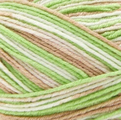 Premier® Premier Fruits Sock Yarn 20 Premier® Premier Fruits Sock Yarn -Clover Store Kiwi