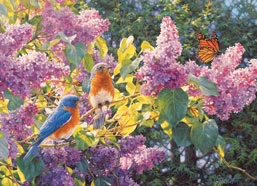 Spring Interlude Jigsaw Puzzle 1 Spring Interlude Jigsaw Puzzle