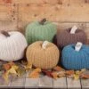 Patch Of Pumpkins Crochet Kit