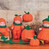 Baby Pumpkin Patch Doll Kit