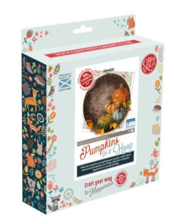 Pumpkin In A Hoop Needle Felting Kit -Clover Store NF307 Box 1
