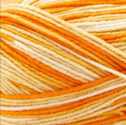 Premier® Premier Fruits Sock Yarn 16 Premier® Premier Fruits Sock Yarn -Clover Store Orange