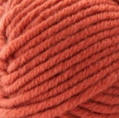 Premier® Premier Everyday Bulky Yarn -Clover Store Rust