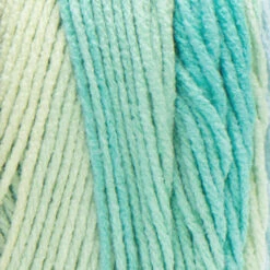 Red Heart Super Saver Ombre Yarn -Clover Store Seaside