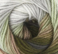 Premier® Premier Colorfusion DK Yarn -Clover Store Woodland