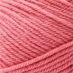 Premier® Premier Anti-Pilling Everyday Worsted Yarn -Clover Store YY36985