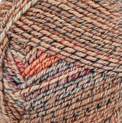 Premier® Premier Cotton Collage Yarn -Clover Store YY44402