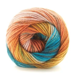 Premier® Premier Colorfusion DK Yarn -Clover Store YY46011