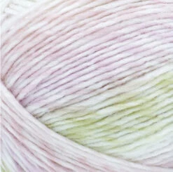 Lion Brand Ice Cream Roving Yarn -Clover Store YY563622