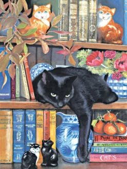 On The Shelf Jigsaw Puzzle