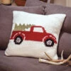 Farmhouse Crochet Pillow Cover