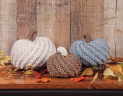 Textured Pumpkin Trio Kit