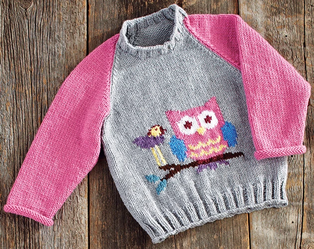 Owl Pullover 1 Owl Pullover