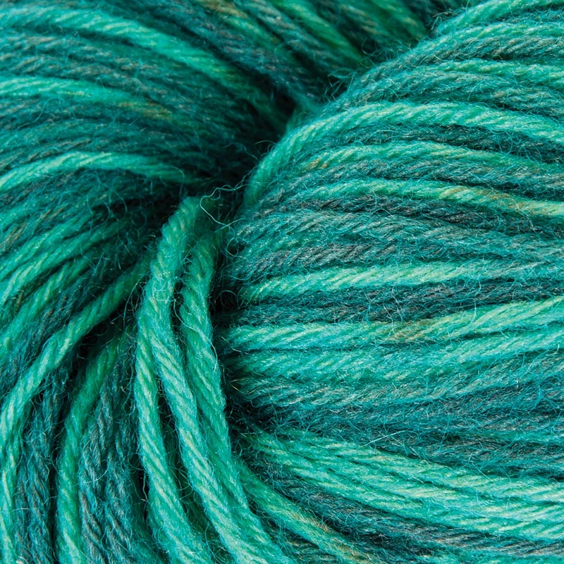 Mary Maxim Woolly Yarn 2 Mary Maxim Woolly Yarn - Image 2